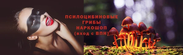 молекула духа Весьегонск