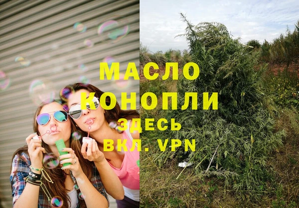 гашик Переславль-Залесский